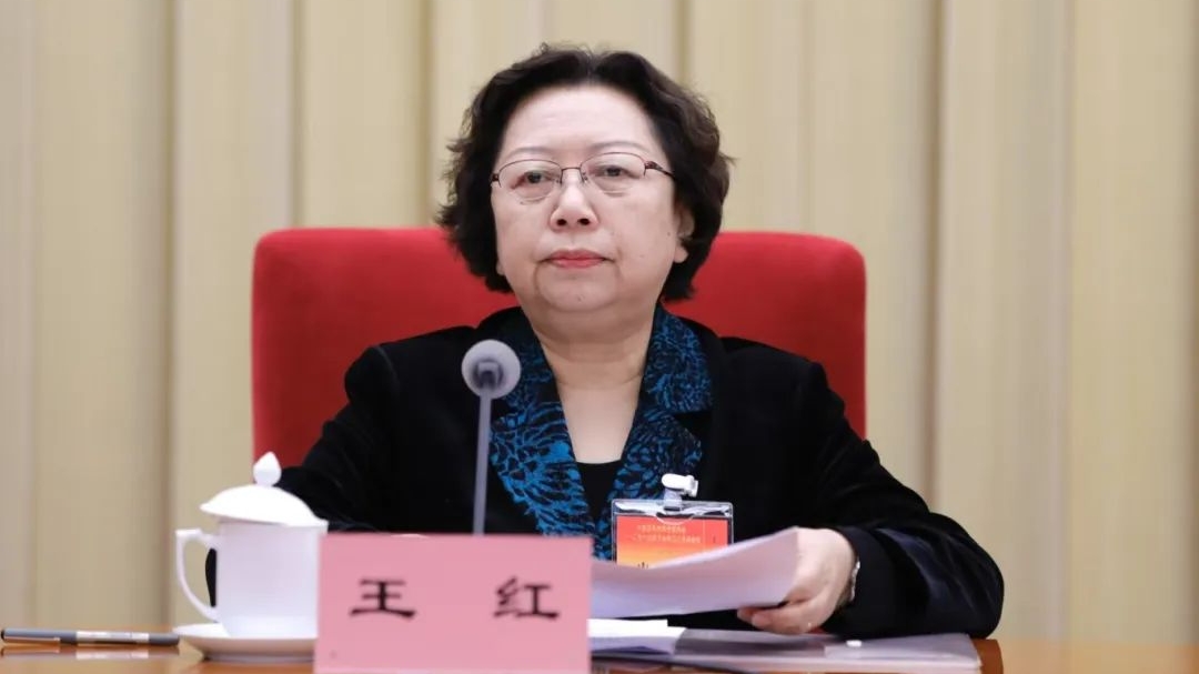 民革中央副主席王紅主持閉幕會(huì)