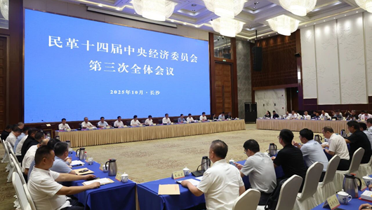 民革十四屆中央經(jīng)濟(jì)委員會(huì)第三次全體會(huì)議在長(zhǎng)沙召開(kāi)